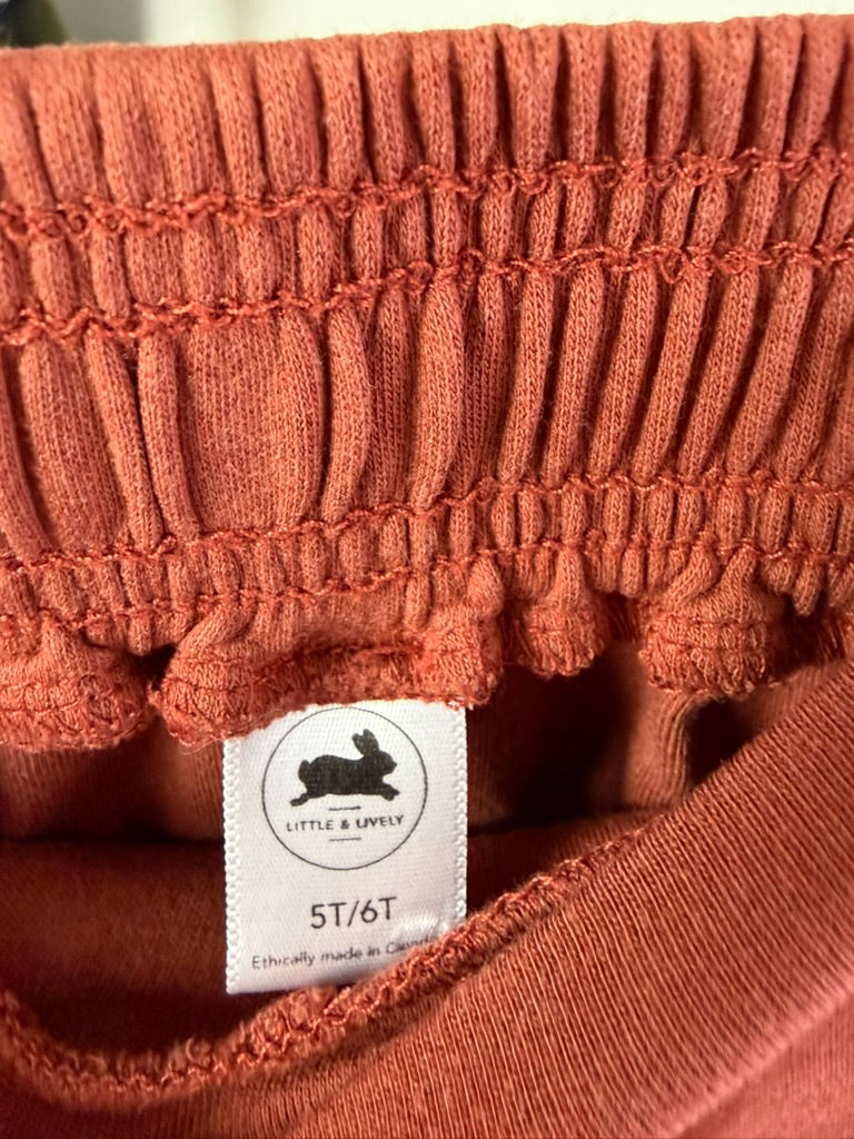 Little & Lively — Bamboo Play Shorts — Rust — 5T/6T