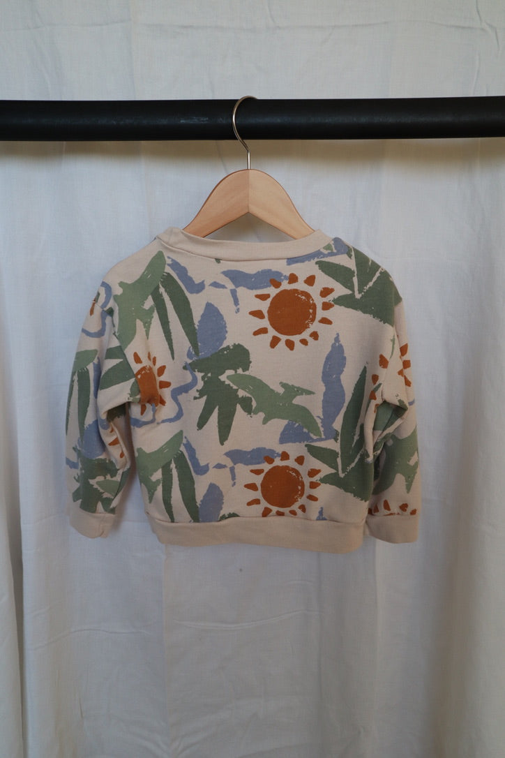 Carter's Child of Mine Tropical Dino Sweatshirt – 24M