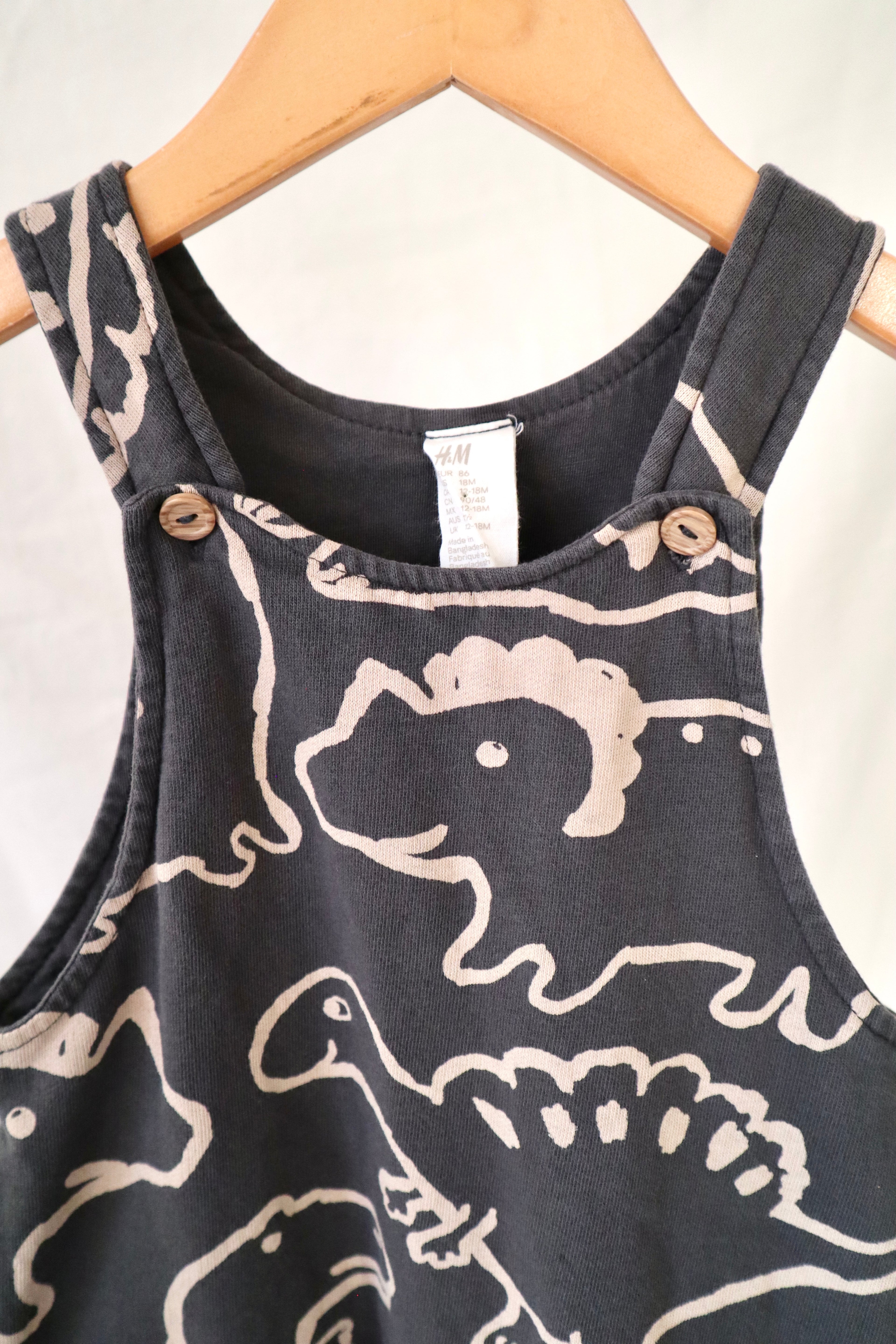 H&M Dinosaur Print Overalls — 12–18 Months