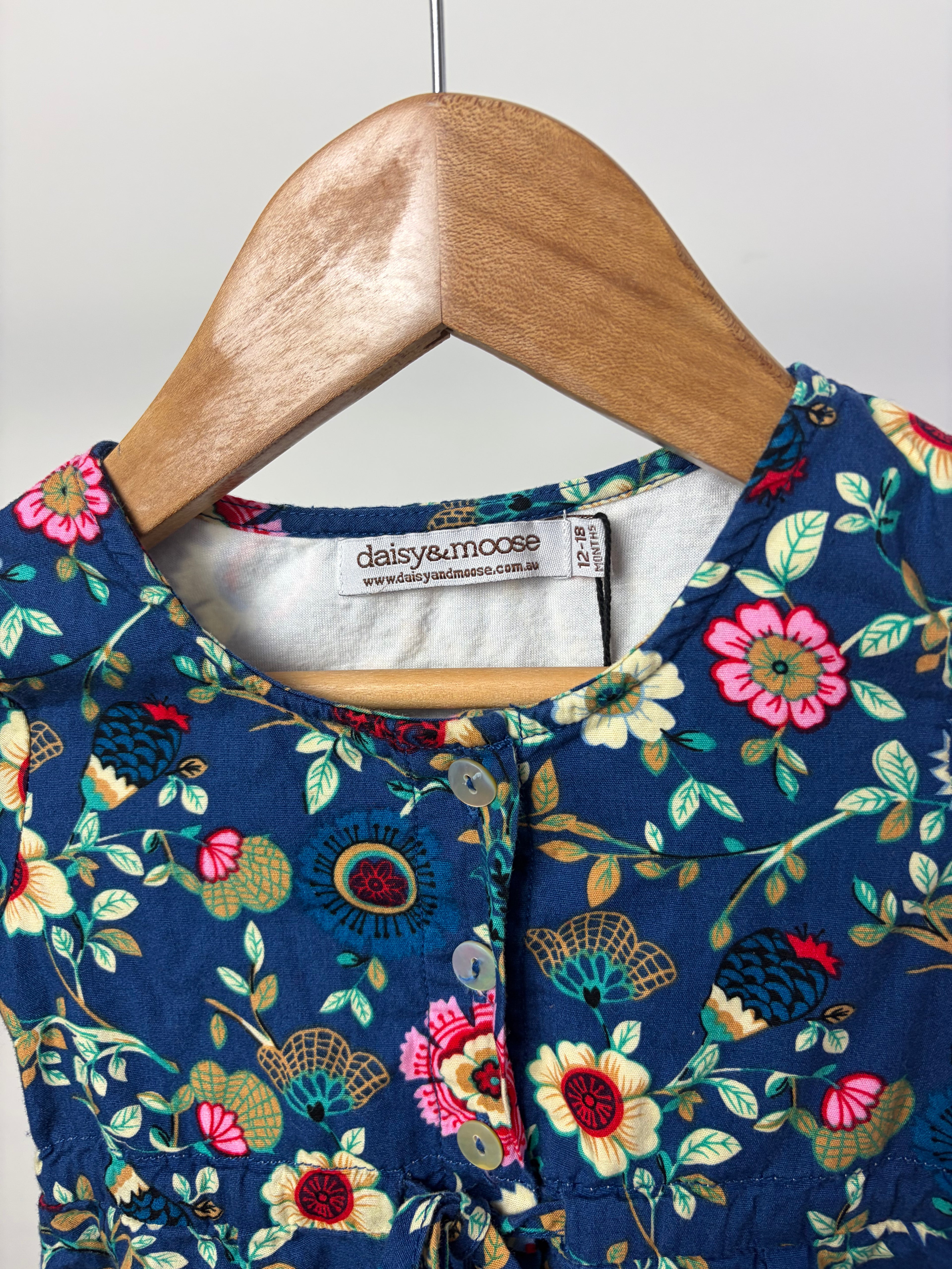 Daisy & Moose Floral Dress — 12–18 Months