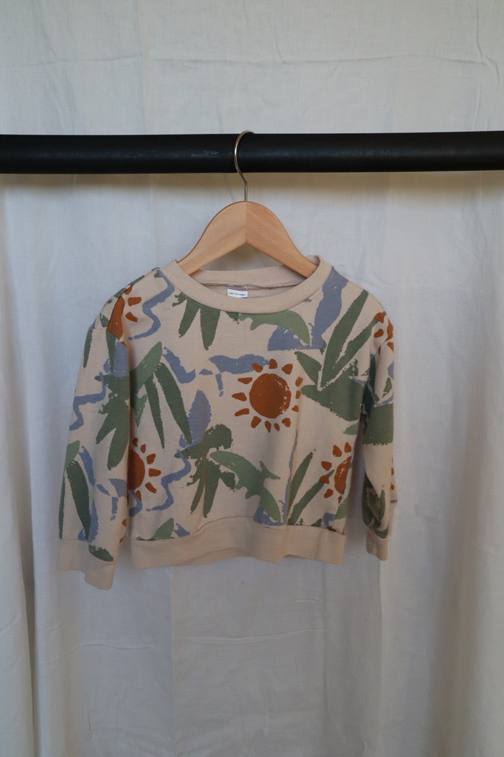 Carter's Child of Mine Tropical Dino Sweatshirt – 24M