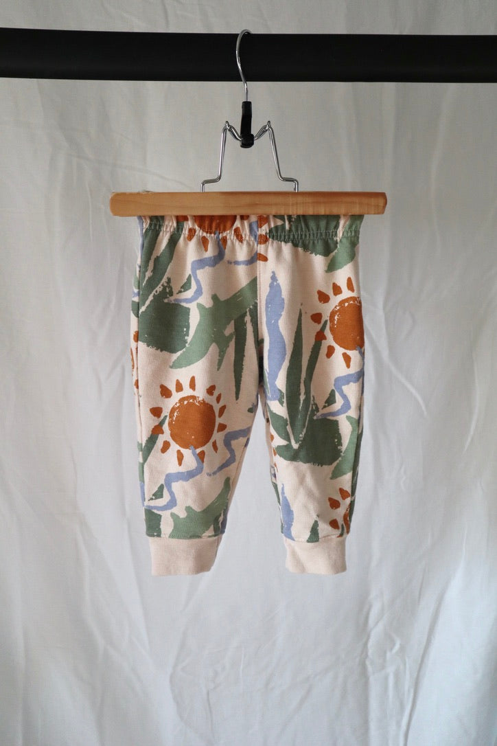 Carter's Dinosaur Print Sweatshirt & Jogger Set — 6–9M