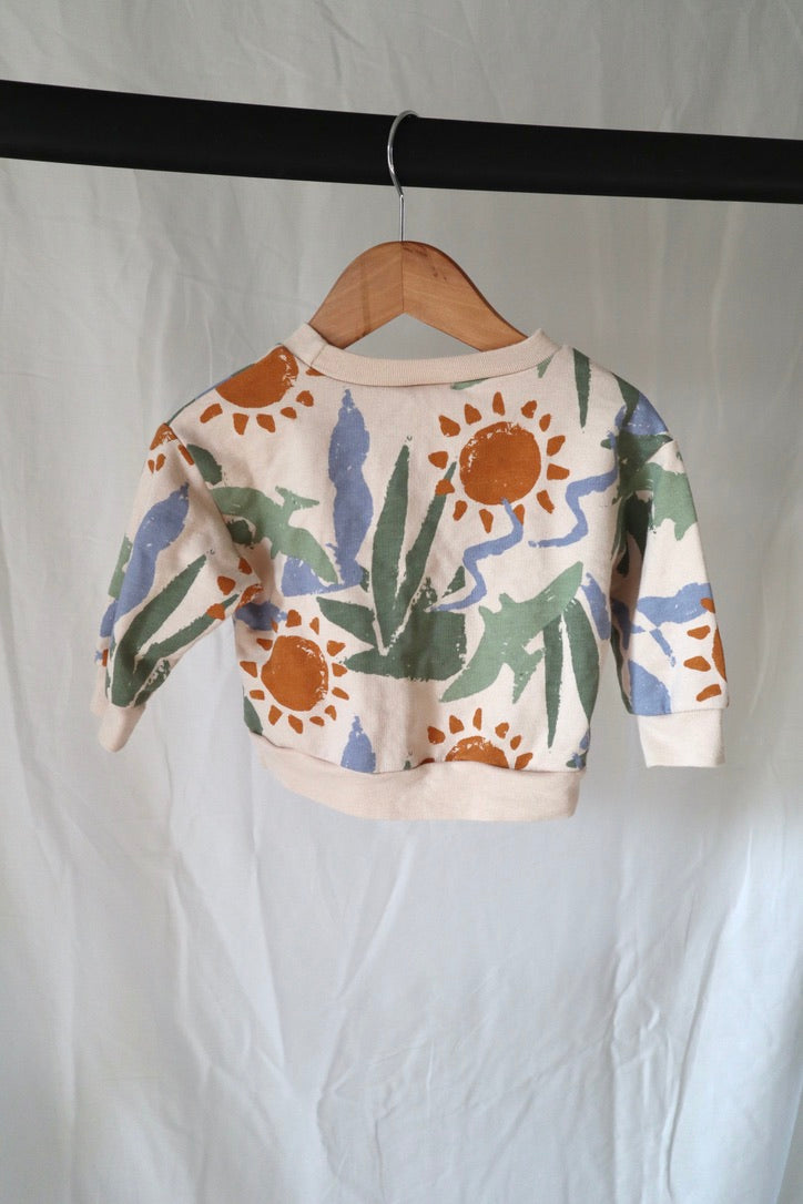 Carter's Dinosaur Print Sweatshirt & Jogger Set — 6–9M